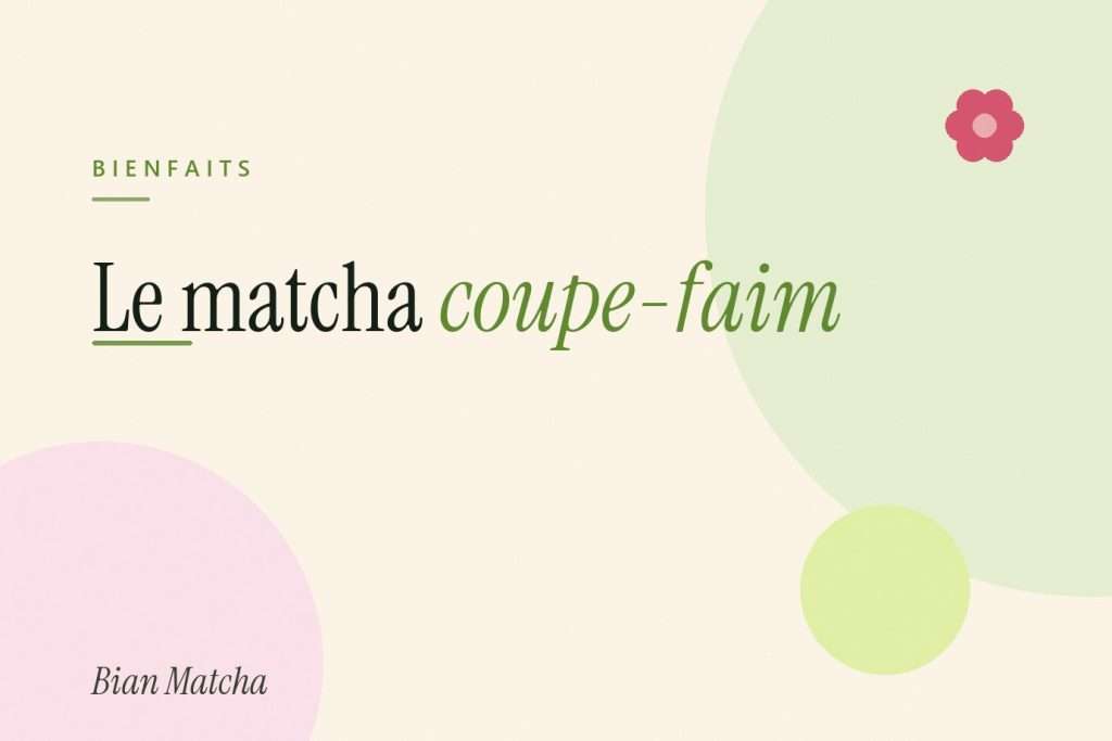 Le matcha coupe-faim : comment ça marche, quand le boire