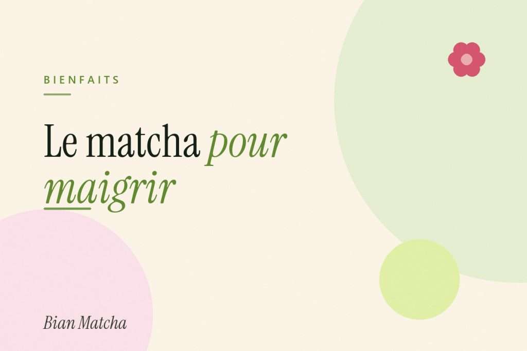 Le matcha pour maigrir : ce que la science dit vraiment