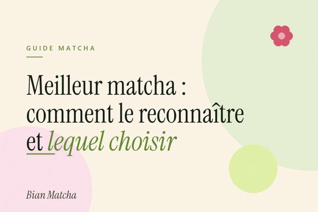 Meilleur matcha : comment le reconnaître et lequel choisir