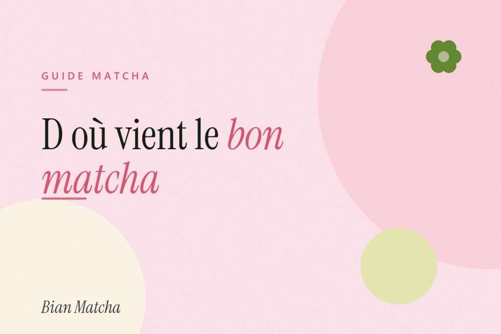 D où vient le bon matcha : Uji, Nishio et les terroirs japonais