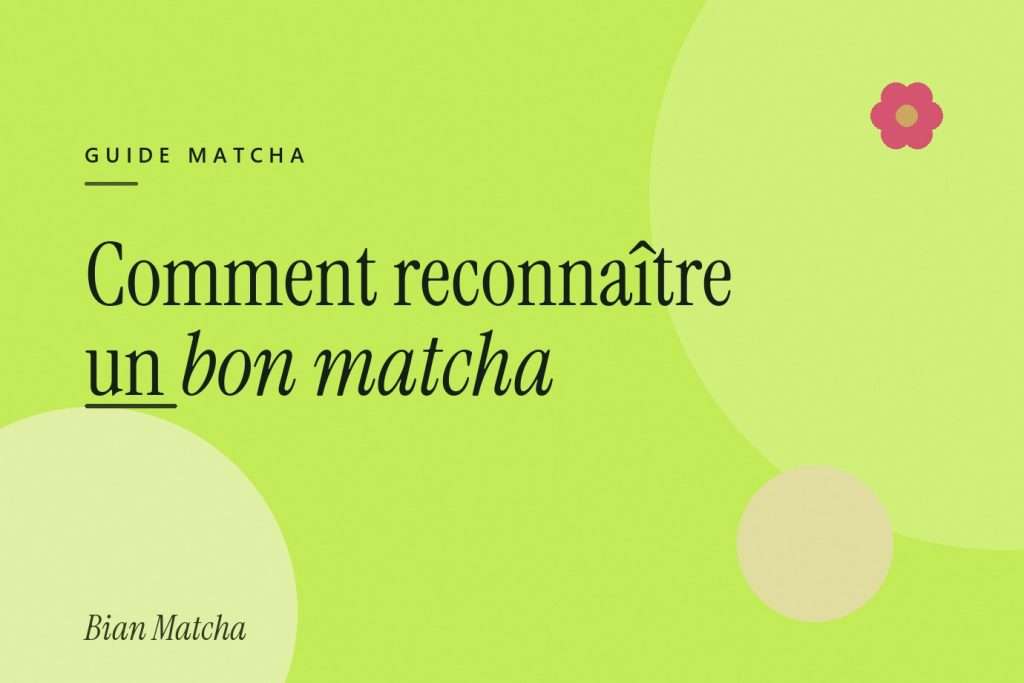 Comment reconnaître un bon matcha : 5 critères qui ne mentent pas