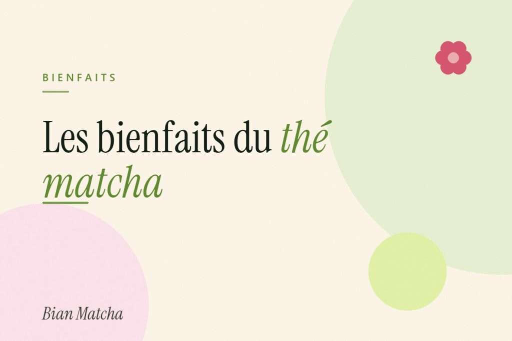 Les bienfaits du thé matcha : ce que la science confirme vraiment